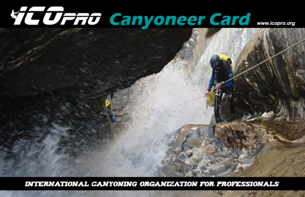 Member card
